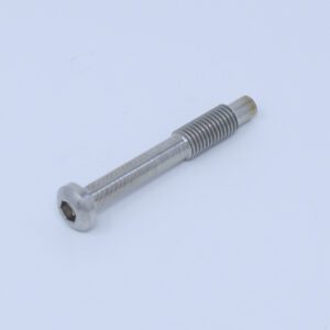 Savage Standard Length SS Screw Set